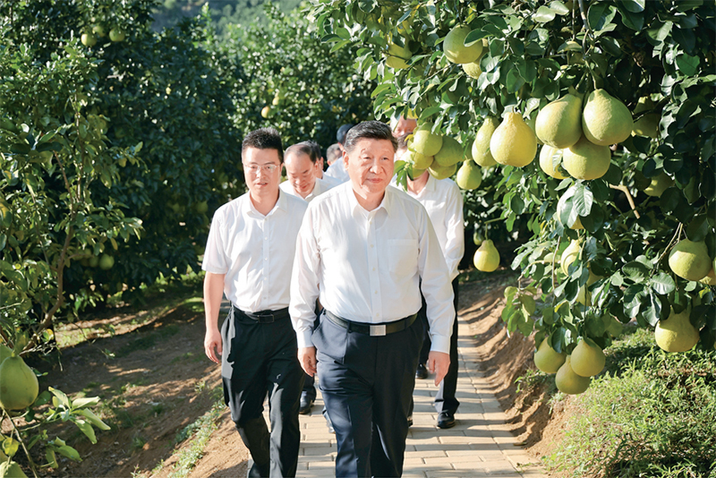 一飞冲天300倍游戏(中国游)·官方网站